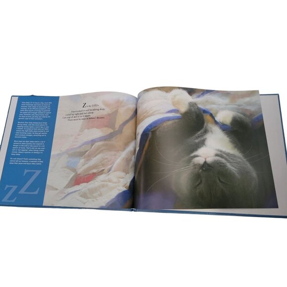 M Is For Meow: A Cat Alphabet Childrens Book By Helen L. Wilbur & Robert Papp - Picture 2 of 3